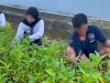 Optimalkan Lahan Terbatas, Lapas Kotabaru Panen 35 Kg Kangkung
