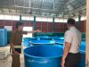 Dorong Keterampilan Produktif, Lapas Batulicin Matangkan Program Budidaya Lele Warga Binaan
