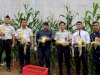 Dari Lahan Pembinaan ke Hasil Nyata, Lapas Batulicin Panen 25 Kg Jagung