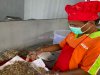 Kripsus “La-New City”, Cerita Kemandirian dari Balik Dapur Lapas Kotabaru