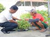 Produktivitas dari Balik Jeruji, Lapas Pemuda Madiun Panen 40 Kg Kangkung