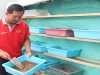 Maggot Kian Berkembang, Dukung Pakan Berkualitas di Lapas Batulicin