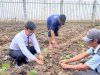 Perkuat Pembinaan Kemandirian, Rutan Barabai Tanam 200 Bibit Terung Ungu di Kebun SAE
