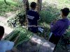 Panen 74 Ikat Kacang Panjang, Pembinaan Produktif Lapas Piru Dukung Ketahanan Pangan