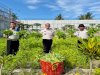 Rutan Donggala Sukses Panen 100 Kg Kangkung Segar