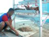Warga Binaan Lapas Banjarmasin Ubah Limbah Peternakan Jadi Pupuk Organik