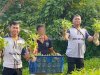 Lahan Terbatas Tak Halangi Produktivitas, Warga Binaan Lapas Kotabaru Panen 22 Kg Kangkung