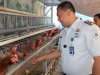 Optimalisasi Lahan Idle, Lapas Pemuda Madiun Kembangkan Program Ketahanan Pangan