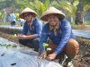 Lapas Terbuka Kendal Tanam 3.600 Bibit Terung di Lahan 2.700 Meter Persegi