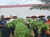 Lapas Muara Tebo Panen Kangkung Hasil Pembinaan Kemandirian Warga Binaan