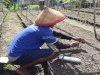 Pascapanen Kacang Panjang, Warga Binaan Lapas Ambon Siapkan Siklus Tanam Berikutnya 