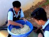 Pembinaan Produktif, Warga Binaan Lapas Batulicin Hasilkan 16 Kilogram Tauge