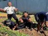Panen 15 Kg Ubi Jalar, Bukti Keberhasilan Pembinaan Kemandirian di Lapas Narkotika Karang Intan