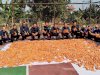 Dukung Ketahanan Pangan, Lapas Batang Panen Raya Jagung di Lahan SAE