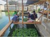 Agroedupark Dorong Pembinaan Produktif Warga Binaan Lapas Pangkalpinang