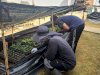 Lapas Pangkalpinang Kembangkan Agroedupark melalui Pembibitan Hortikultura