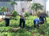 Panen 18 Kilogram Kangkung, Lapas Tanjung Perkuat Pembinaan Pertanian Warga Binaan