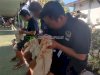 Warga Binaan Lapas Narkotika Karang Intan Asah Keterampilan Membatik Sasirangan
