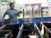Panen 50 Kg Kangkung dan Lele, Lapas Amuntai Dukung Ketahanan Pangan