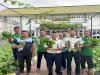 Panen Sawi Capai 25 Kg, Lapas Luwuk Buktikan Kontribusi Program Ketahanan Pangan