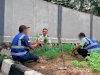 Bapas Tanjungpandan Libatkan Klien Garap Lahan Tidur Dukung Ketahanan Pangan