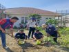 Dukung Ketahanan Pangan, Rutan Donggala Lakukan Pembibitan Papaya California