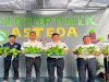Kalapas Banjarmasin Pimpin Panen 320 Pot Pakcoy Hidroponik, Perkuat Program Ketahanan Pangan