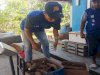 Panen 11 Kg Singkong, Bukti Sukses Pembinaan Kemandirian Warga Binaan Lapas Tanjung