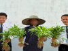 Panen 15 Kilogram Kangkung, Warga Binaan Lapas Kotabaru Petik Hasil Pembinaan