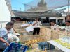 Dukung Ketahanan Pangan, Lapas Mojokerto Lepas Itik ke Kandang Pembesaran