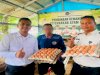 Lapas Banjarmasin Hasilkan 106 Butir Telur dari Dua Sistem Budidaya Ayam Petelur di SAE 1 dan 2