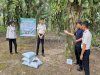 Kompos Lapas Pangkalpinang Uji Kualitas di Kebun Sawit Binaan Lapas Tanjungpandan