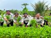 LPKA Manokwari Kembali Panen Kangkung Kloter Kedua, Perkuat Pembinaan Kemandirian Anak Binaan