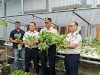 Hijaukan Lapas, Sejahterakan Dapur, Pakcoy Hidroponik Lapas Sarolangun Siap Santap  