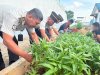 Lapas Kotabaru Panen 35 Kilogram Kangkung Hasil Pembinaan Warga Binaan