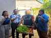 Warga Binaan Lapas Wahai Panen Pujian, Sayur Segar Dibeli Masyarakat