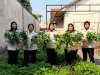 Lapas Perempuan Malang 30 Kg Panen Kangkung, Wujudkan Ketahanan Pangan dan Pembinaan Kemandirian