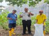 Lahan SAE Jadi Bukti Nyata, Lapas Parigi Sukses Panen Raya 14 Kg Terung
