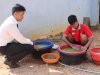 Panen 17 Kg Tauge, Lapas Batulicin Perkuat Ketahanan Pangan