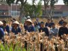 Panen Perdana Jagung Hibrida, Lapas Terbuka Kendal Raih Hasil Dua Ton