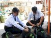 Lapas Mojokerto Tanam Benih Cabai untuk Perkuat Ketahanan Pangan