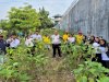 Berkah dari Kebun Sendiri, Lapas Parigi Panen 14 Kg Terung untuk Pasok Dapur Warga Binaan