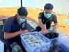 Teh Mint Laskarin Siap Dipasarkan, Warga Binaan Lapas Narkotika Karang Intan Lakukan Pengemasan