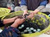 Warga Binaan Perempuan Lapas Amuntai Asah Keterampilan, 120 Butir Telur Puyuh Jadi Produk Olahan