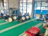 Warga Binaan Rutan Marabahan Siapkan Penampilan Hadrah untuk Peringatan Maulid Nabi Muhammad saw.