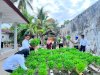 Dukung Ketahanan Pangan, Lapas Geser Panen 90 Ikat Kangkung Hidroponik Modifikasi