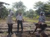 Tingkatkan Produktivitas Warga Binaan, Lapas Piru Tanam 100 Pohon Pepaya California