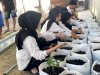 Maksimalkan Pemanfaatan Lahan Produktif, Rutan Majene Tanam Cabai bersama Warga Binaan dan Peserta Magang