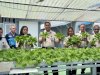 Produktif dan Berkelanjutan, Rutan Ambon Kembali Panen Pakcoy Hidroponik