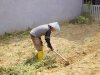 Lapas Pangkalpinang Sulap Lahan Marginal Jadi Lahan Pertanian
